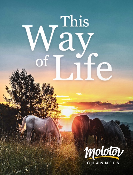 Molotov channels - This Way of Life