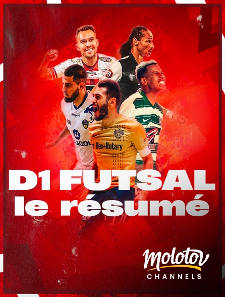 Molotov Channels - D1 Futsal - Le résumé