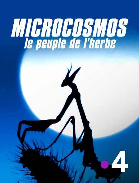 France 4 - Microcosmos: Le Peuple de L'herbe