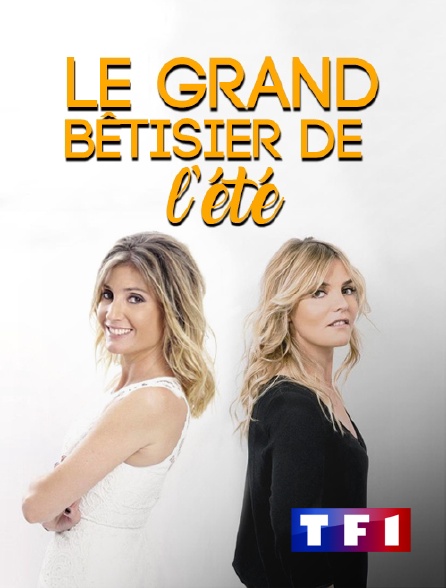 TF1 - Le grand bêtisier de l'été - 28/09/2024 à 23h40