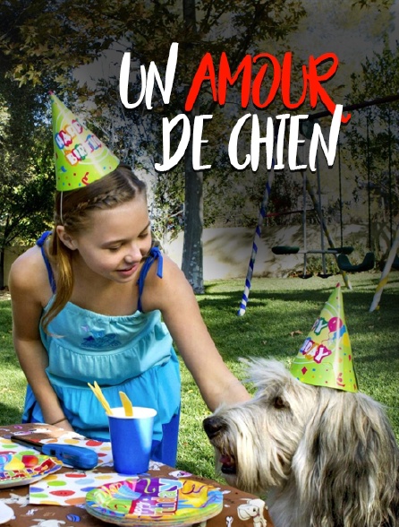 Un amour de chien