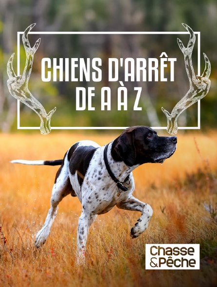 Chasse et pêche - Chiens d'arrêt de A à Z