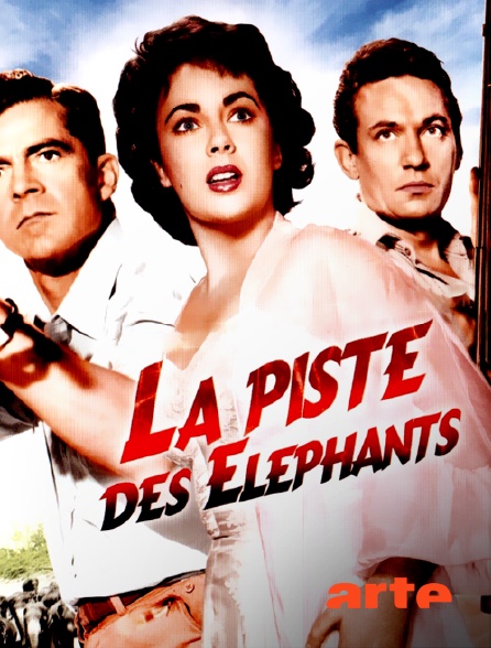 Arte - La piste des éléphants