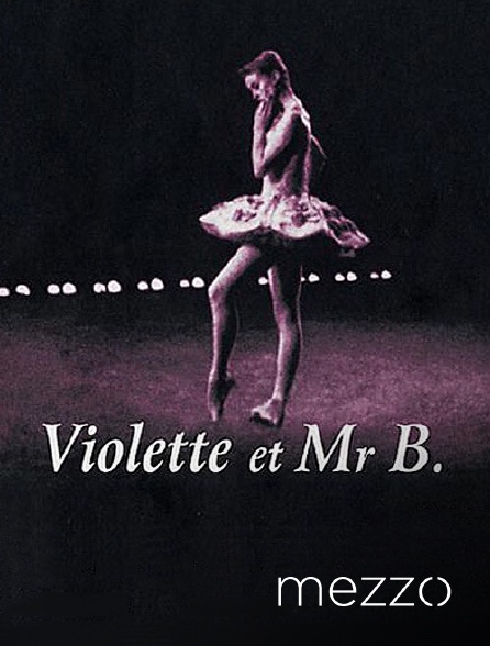 Mezzo - Violette et mister B
