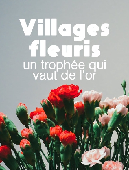 Villages fleuris, un trophée qui vaut de l'or