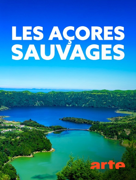 Arte - Les Açores sauvages en replay