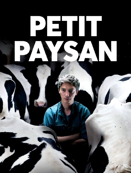 Petit Paysan