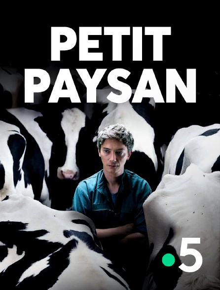 France 5 - Petit Paysan