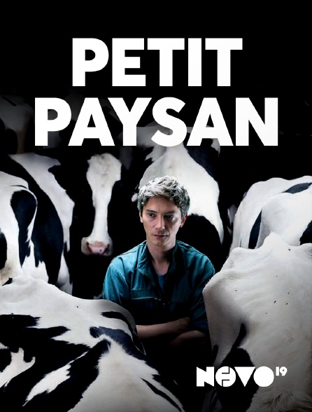 NOVO19 - Petit Paysan