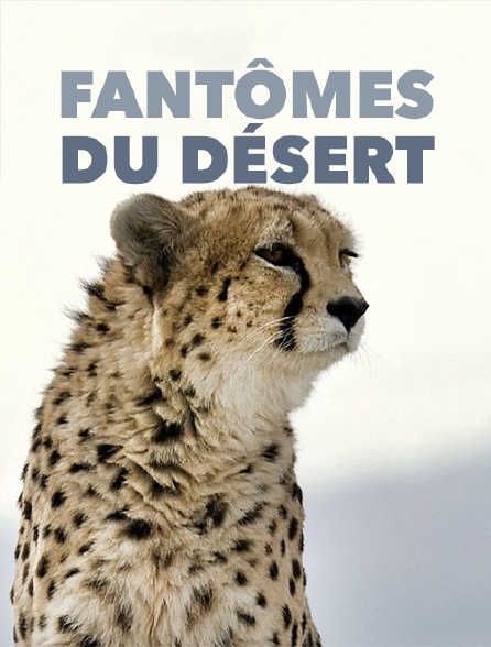 Fantômes du désert