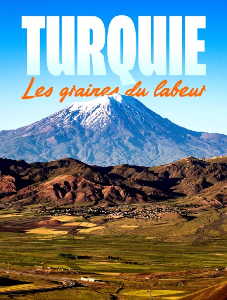Turquie : Les graines du labeur