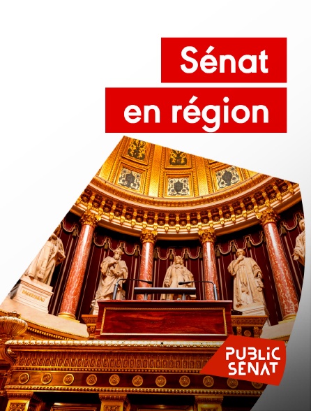 Public Sénat - Sénat en région