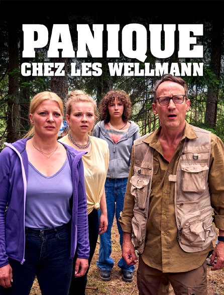 Panique chez les Wellmann