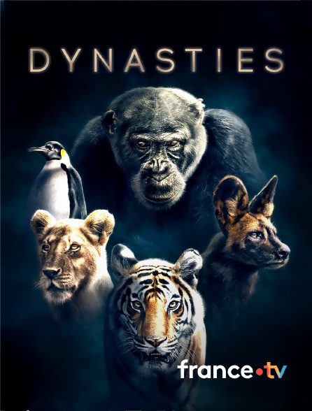 france.tv - Dynasties
