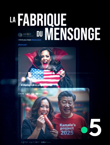 France 5 - La fabrique du mensonge