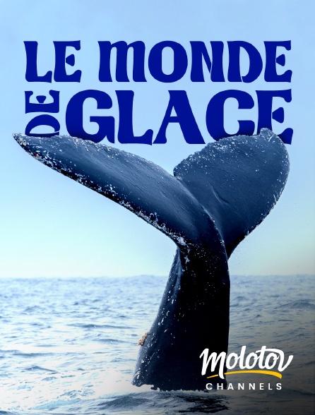 Molotov channels - Le monde de glace