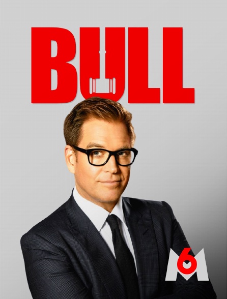 M6 - Bull