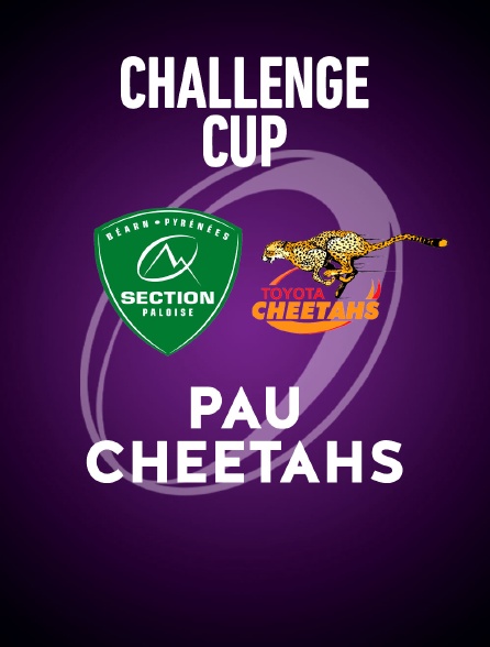 Rugby - Challenge Cup : Pau / Cheetahs