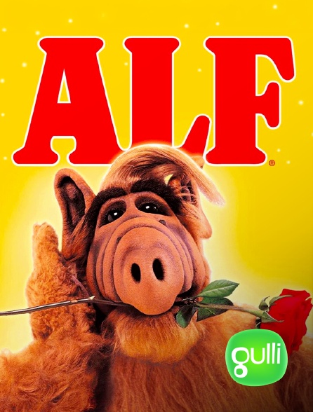 Gulli - Alf