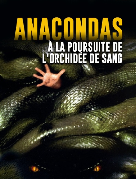 Anacondas : à la poursuite de l'orchidée de sang