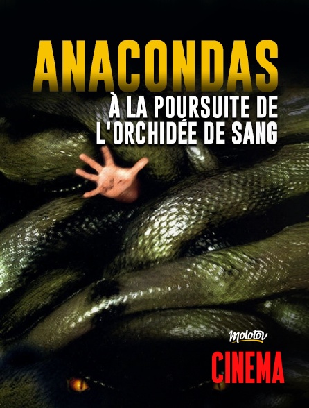 Molotov Channels Cinéma - Anacondas : à la poursuite de l'orchidée de sang