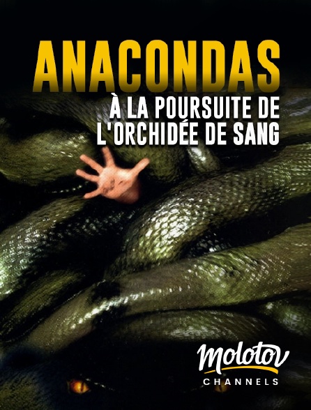 Mango - Anacondas : à la poursuite de l'orchidée de sang