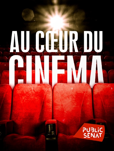Public Sénat - Au coeur du cinéma