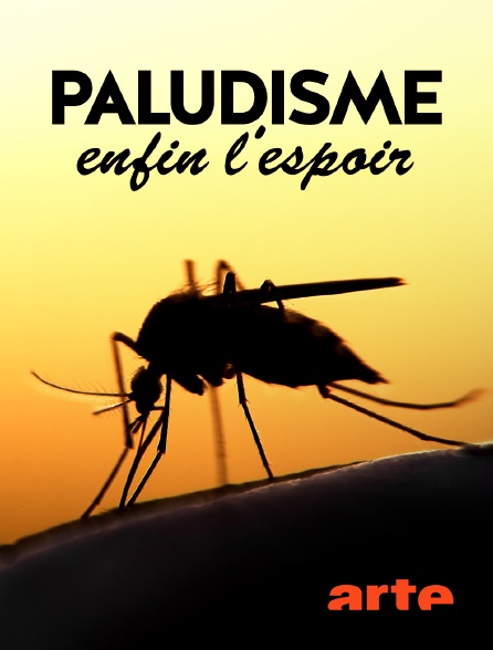 Arte - Paludisme, enfin l'espoir