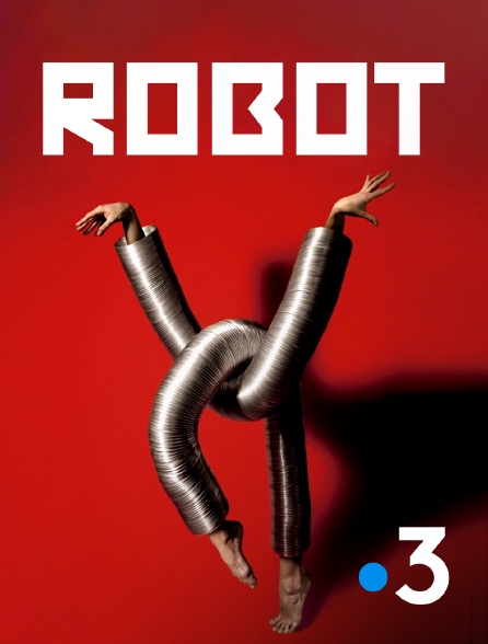 France 3 - Robot !