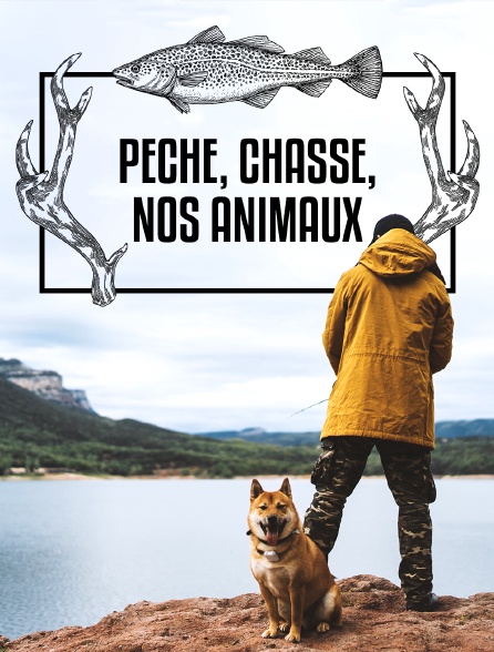 Pêche, chasse, nos animaux