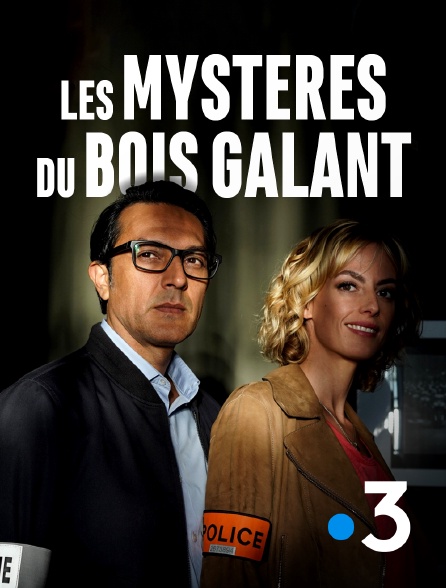 France 3 - Les mystères du Bois Galant