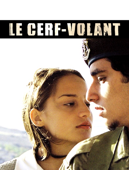 Le cerf-volant