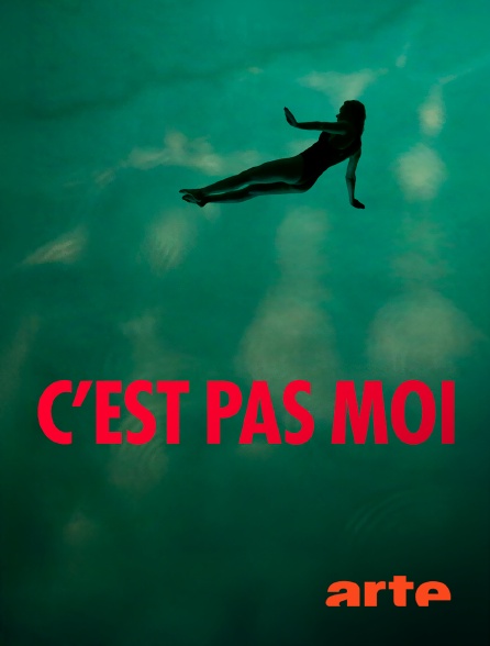 Arte - C'est pas moi