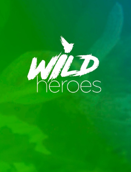 Wild Heroes