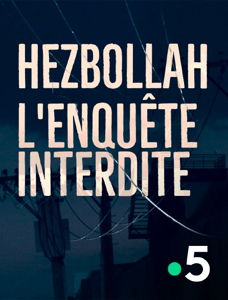 France 5 - Hezbollah, l'enquête interdite
