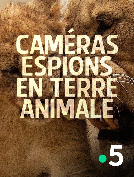 France 5 - Caméras espions en terre animale