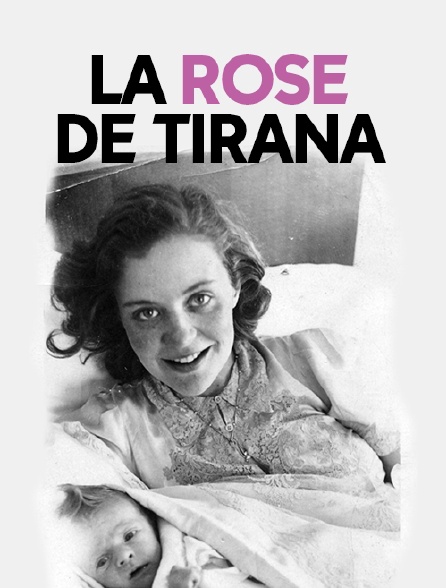 La rose de Tirana