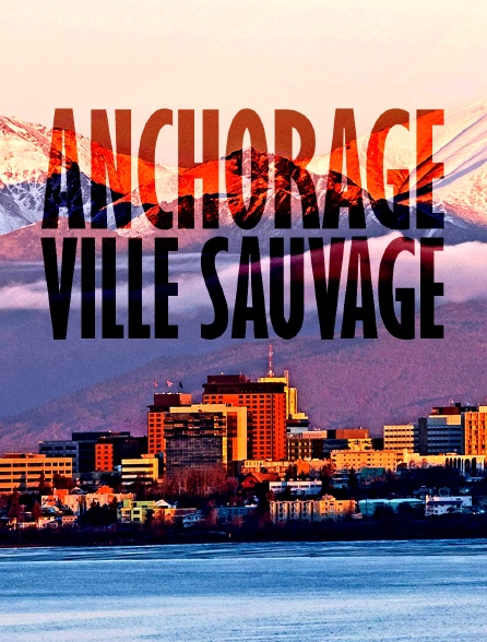 Anchorage, ville sauvage