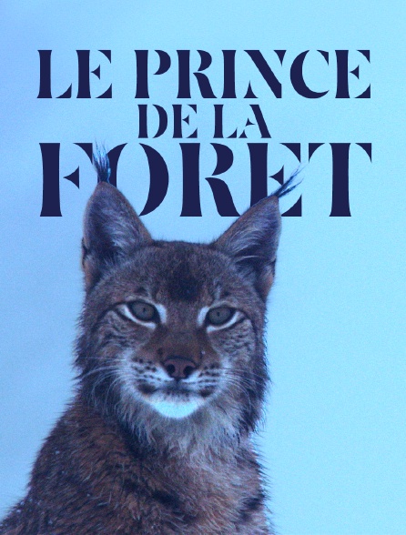 Le prince de la forêt
