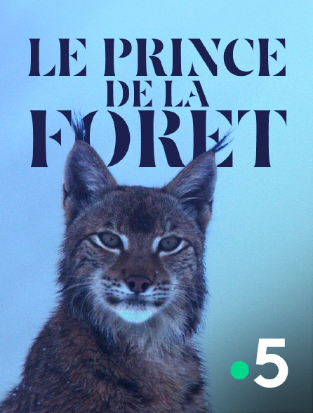 France 5 - Le prince de la forêt
