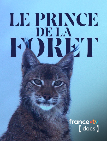 France TV Docs - Le prince de la forêt en replay