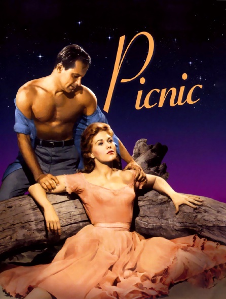 Picnic