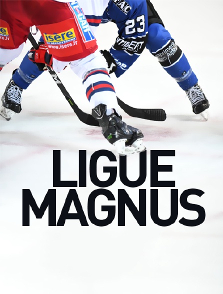 Ligue Magnus