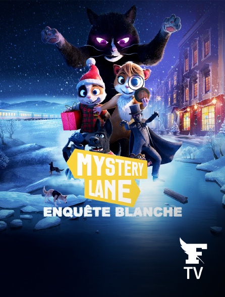 Le Figaro TV Île-de-France - Mystery Lane, Enquête blanche