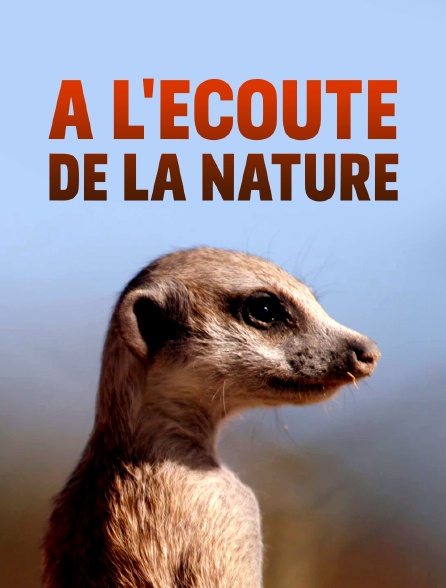 A l'écoute de la nature