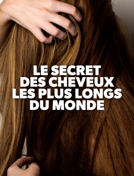 Le secret des cheveux les plus longs du monde