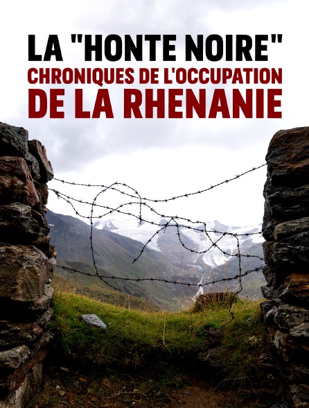 La "honte noire" : chroniques de l'occupation de la Rhénanie