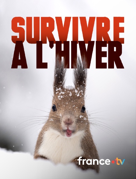 france.tv - Survivre à l'hiver en replay