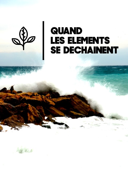Quand les éléments se déchaînent