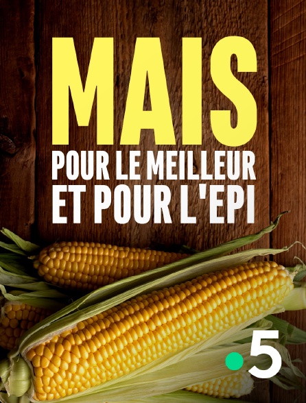 France 5 - Maïs, pour le meilleur et pour l'épi